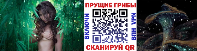 Галлюциногенные грибы ЛСД  Белебей 